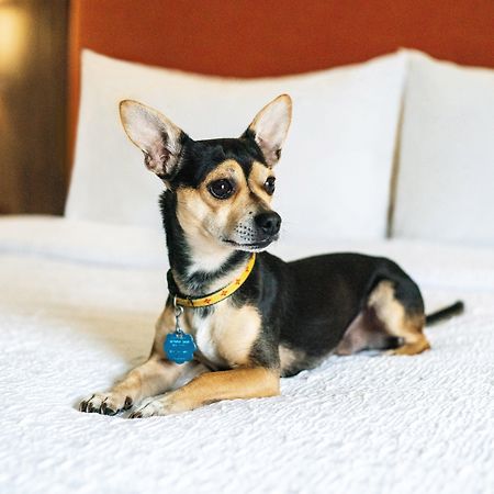 Hampton Inn Lexington South Εξωτερικό φωτογραφία