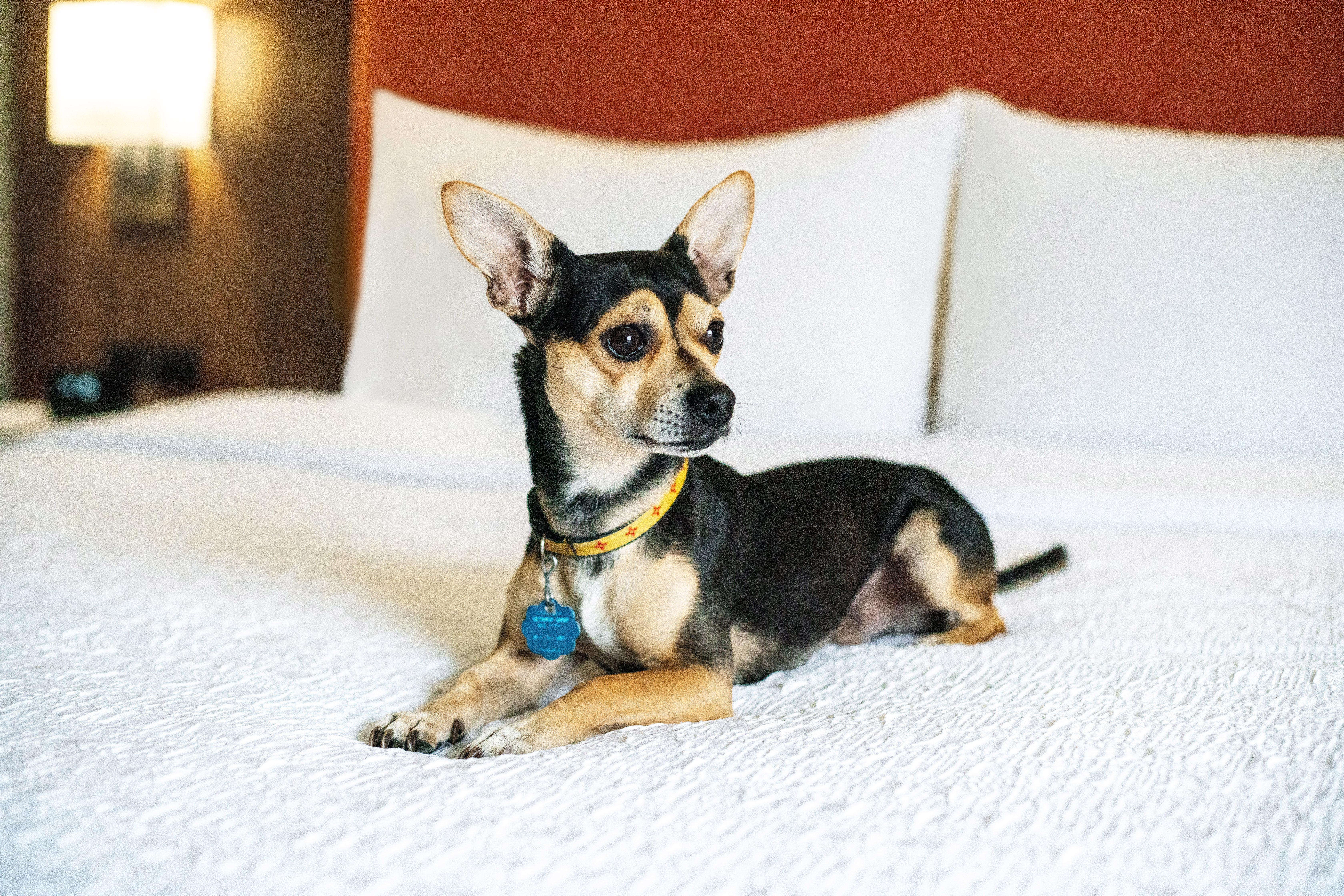 Hampton Inn Lexington South Εξωτερικό φωτογραφία